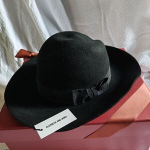 BRAND NEW Elizabeth and James wool hat
